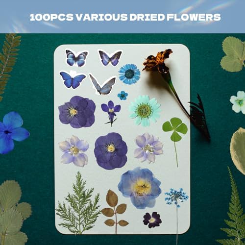 Pressed Flowers112 Pcs, Dried Pressed Flowers with 10Butterfly Stickers