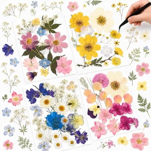 Nuanchu Real Dried Pressed Flowers for Craft Resin Mold DIY, Cottagecore