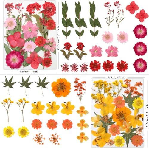 LUXEEASE 80P Yellow Red Pink Blue Dried Pressed Flowers | Fresh natural color mix, blooms and leaves ready to craft, for resin jewelry scrapbook candle frame decor, tweezers included