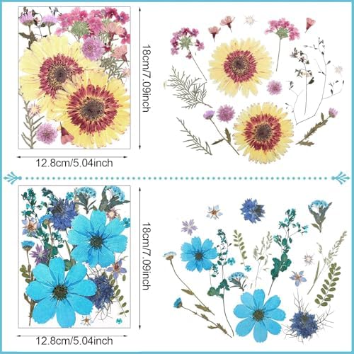 Nuanchu Large Dried Flowers Pressed for Crafts Resin Molds DIY Supplies