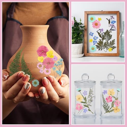 Nuanchu Pastel Real Dried Pressed Flowers for Craft Resin Mold DIY