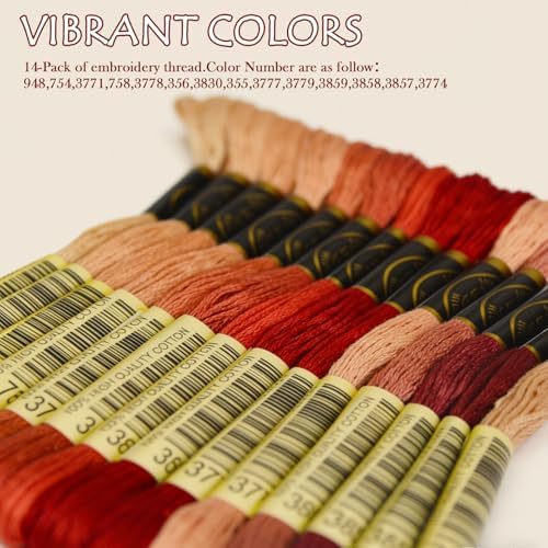 Premium Rainbow Color Embroidery Floss - Cross Stitch Threads - Friendship Bracelets Floss - Crafts Floss - 14 Skeins Per Pack Embroidery Floss,Light Peach Flesh Gradient