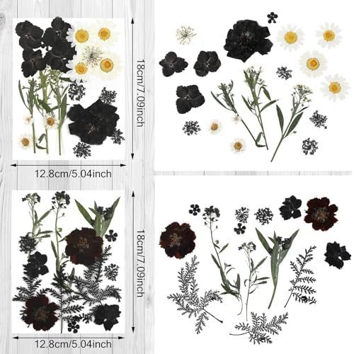 Nuanchu Black White Dried Pressed Flowers for Craft Resin, Gothic DIY Art