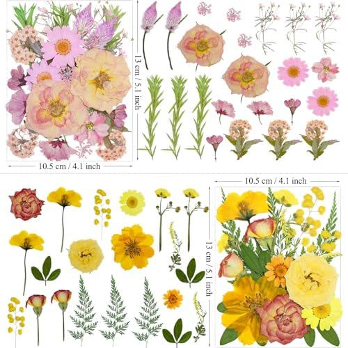 MIKIYA 86Pcs Dried Pressed Flowers for Resin, Real Natural Bulk Assorted Dry Floral Leaves for DIY Art Crafts, Epoxy Molds, Jewelry, Soap, Candle Making, Nails Decors