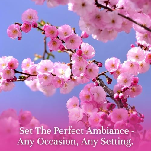 P&J Trading - Cherry Blossom Scented Oil 30ml - Fragrance Oil for Candle Making, Soap Making, Diffuser Oil