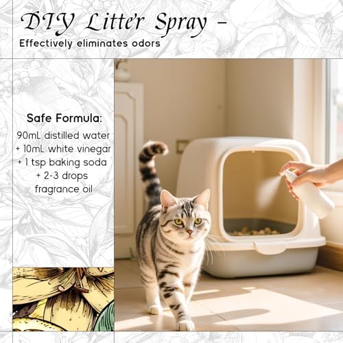 HIQILI Beautiful Life Fragrance Oil for Diffuser, Perfume & DIY Soap