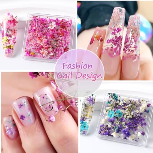 8 Boxs Dried Flowers for Nail Art,Colorful Mini Real Natural Flowers