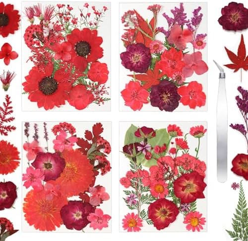 Dried Flowers for Resin Vacuum Packed DIY Pressed Flowers