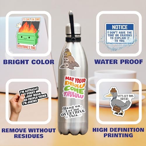 300 Pcs Funny Stickers for Adults Meme Water Bottles Decals Pack Waterproof Cool Sticker for Laptop, Bumper, Phone, Hard Hats, Sarcastic, Scrapbooking Decals
