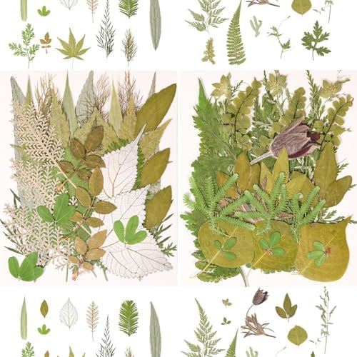 100 PCS Real Pressed Dried Leaves with Tweezers | Natural Dried Flowers, For Resin, Candle, Jewelry, Scrapbooking & DIY Crafts, Leaves 100