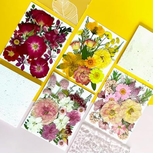 MIKIYA 86Pcs Dried Pressed Flowers for Resin, Real Natural Bulk Assorted Dry Floral Leaves for DIY Art Crafts, Epoxy Molds, Jewelry, Soap, Candle Making, Nails Decors