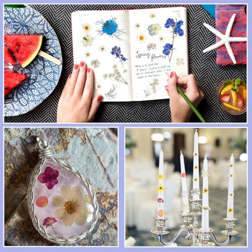 Nuanchu Real Dried Pressed Flowers for Craft Resin Mold DIY, Cottagecore