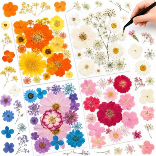 Nuanchu Natural Large Dried Pressed Flowers for Craft Resin DIY