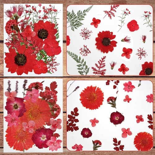 Dried Flowers for Resin Vacuum Packed DIY Pressed Flowers