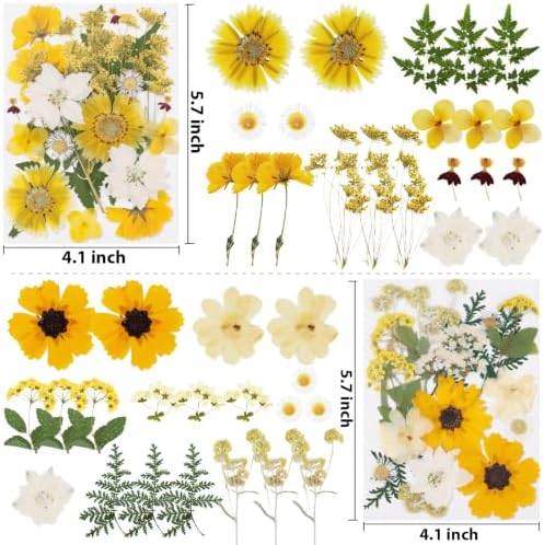 128 Pcs Fall Dried Pressed Flowers for Resin,Natural Real Dried Flowers