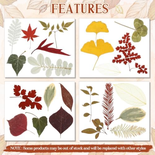 Timtin 84 Pcs Dried Pressed Leaves Flowers for Resin, Fresh