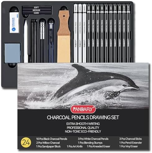 PANDAFLY Professional Charcoal Pencils Drawing Set, 24 Pcs