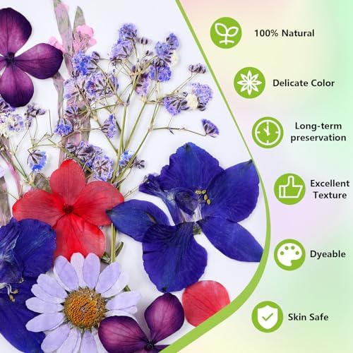MTLEE 30 Pack Pressed Flower Candles Making Kit 6 Set Dried Pressed Flowers 12 White Taper 10 White Tealight Candles with Tweezers Brush for DIY Crafts Birthday Wedding Party Favors