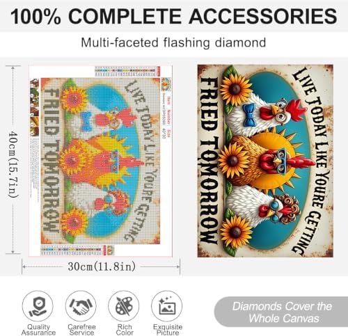 ARPADAMO Funny Rooster Diamond Art Kits for Adults Diamond Painting 16x12in