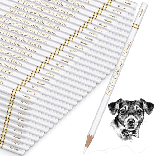 Resurhang 100 Pcs Charcoal Pencils Drawing Set, Charcoal Pencils bulk for Drawing Sketching Shading Blending Portrait Beginners and Artists(White,White Style)
