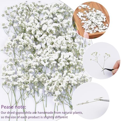 50Pcs White Babys Breath Dried Flowers for Wedding Invitation Accessories