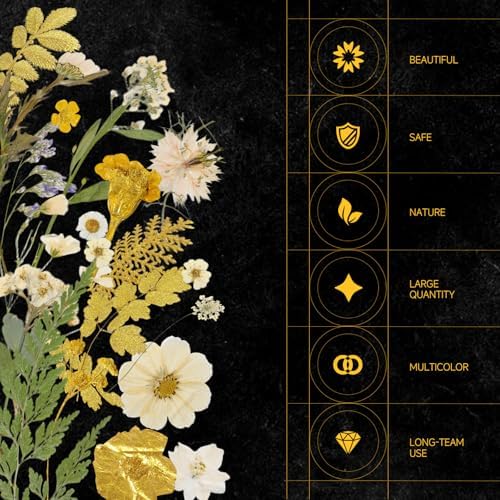 85 Pcs Dried Flowers for Crafts