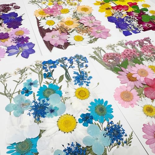 Cayway 170 PCS Dried Flowers for Resin, Real Nature Dried Pressed Flower Leaves for DIY Nail Art Cards Jewelry Making Epoxy Resin Molds Candle Accessories Floral Decors, Multicolor