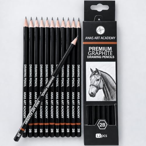 2B Premium Graphite Drawing Pencils - 12 pcs | Professional Art Drawing Pencils for Shading, Sketching & Doodling | Graphite Pencil for Artists & Beginners