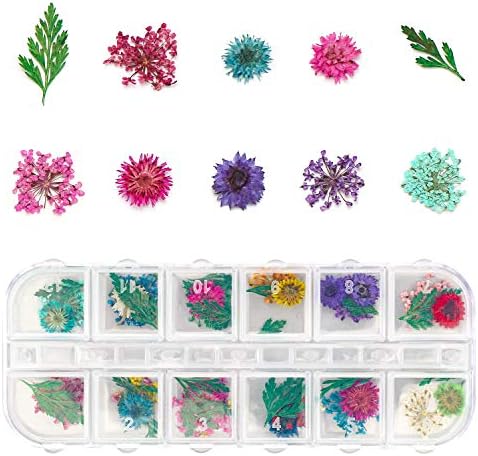 Gartful 4 Boxes Dried Flowers for Resin, 48 Styles Natural 3D Applique Flowers DIY Craft Supplies, Resin Epoxy Casting Fillers for Silicone Molds, Nail Arts, Handmade Projects, Decoration Accessories