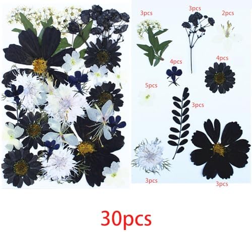 Cayway 2 Pack Pressed Flowers Natural Dried Flowers Black Resin Flowers Real Pressed Flowers with Butterfly Sticker for Resin Scrapbook DIY Art Crafts, Epoxy Resin Jewelry Supplies, Style D