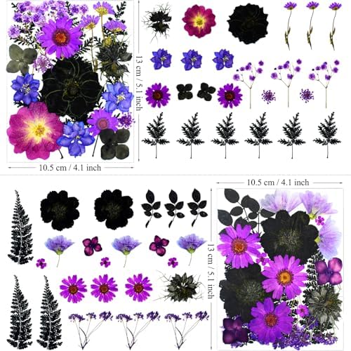 MIKIYA 92Pcs Purple Black Pressed Dried Flowers for Resin, Real Natural Bulk Assorted Dry Leaves Floral for DIY Art Crafts, Epoxy Molds, Jewelry, Soap, Candle Making, Nails Decors