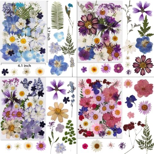 420 Pcs Dried Pressed Flowers for Resin,Bulk Natural Real Dried Flowers