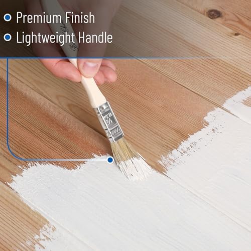 Bates- Chip Paint Brushes, 1/2 Inch, 24 Pack, Chip Brush, Brushes for Painting, Paint Brushes, Stain Brushes for Wood, Natural Bristle Paint Brush, 1/2 Inch Paint Brush, Chip Paint Brushes for Paint