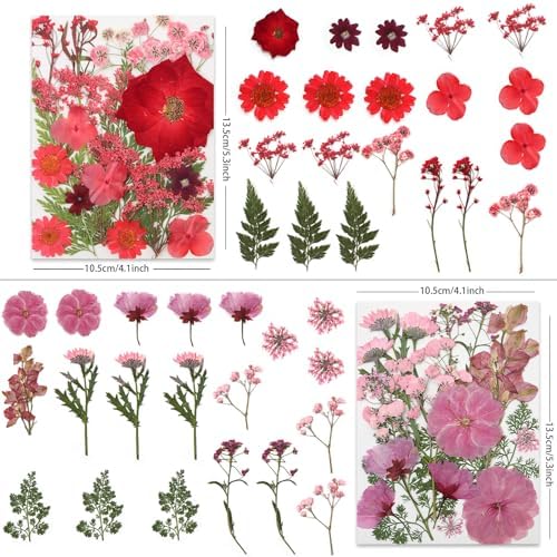 LUXEEASE 80P Vibrant Multicolor Dried Pressed Flowers | No matching needed, layered blooms sizes, orange purple red pink, for resin scrapbook candle decor, tweezers included