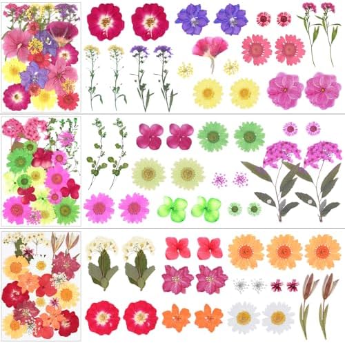 190Pcs Dried Pressed Flowers for Craft,Xinxinran Dry Flower Kit for Resin