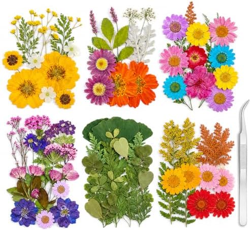 181 pcs Dried Flowers for Resin, Natural Flowers and Leaves Kit with Butterfly Stickers， Vacuum Sealed DIY Pressed Flowers for Jewelry Molds, Candle Soap Making, Scrapbook, Nail Art (Colorful-A)