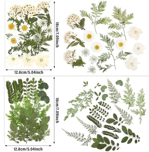 Nuanchu Natural Dried Pressed Flowers for Craft Resin