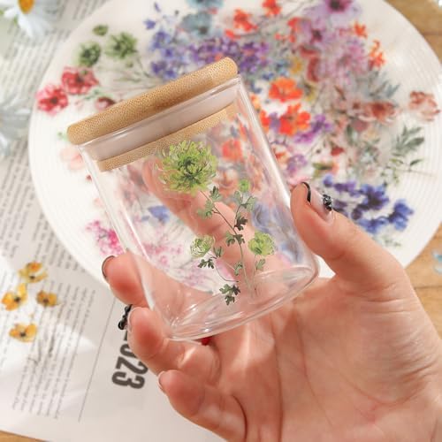 Transparent Flora Scrapbook Stickers Aesthetic Flowers Stickers(Ins)