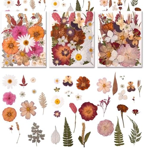 100 PCS Cream Color Pressed Dried Flowers & Leaves | Real Natural Dried Flowers, With Tweezers, For Resin, Candle, Jewelry, Scrapbooking & DIY Crafts