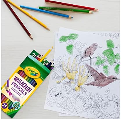Crayola Watercolor Colored Pencils 24ct, Watercolor Paint Alternative
