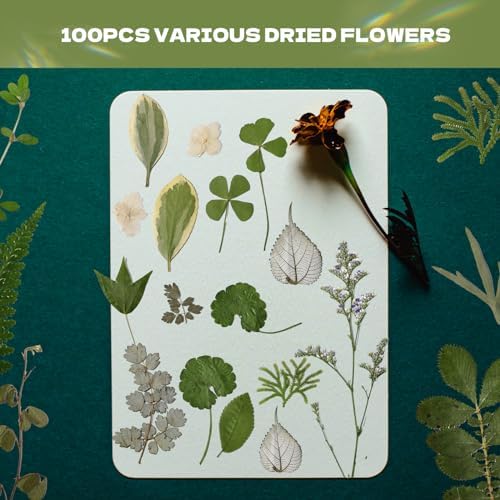 63 Pcs Pressed Leaves, 21 Styles Dried Flowers for Resin