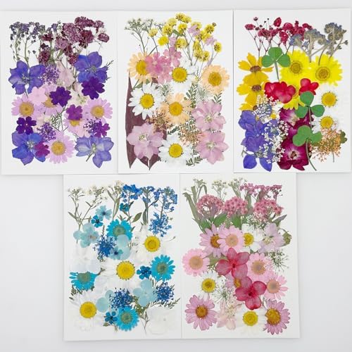 Cayway 170 PCS Dried Flowers for Resin, Real Nature Dried Pressed Flower Leaves for DIY Nail Art Cards Jewelry Making Epoxy Resin Molds Candle Accessories Floral Decors, Multicolor
