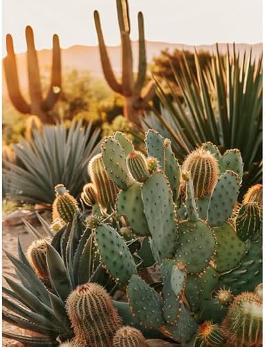 Cactus Diamond Art Kits for Adults, Diamond Painting for Beginner 5D DIY