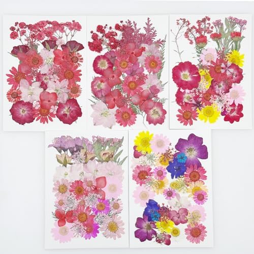 Cayway 170 PCS Dried Pressed Flower, Pressed Flowers and Leaves for Resin, Real Nature Pressing Floral Leaves for DIY Craft, Jewelry Making, Candle Scrapbooking Supplies, Red