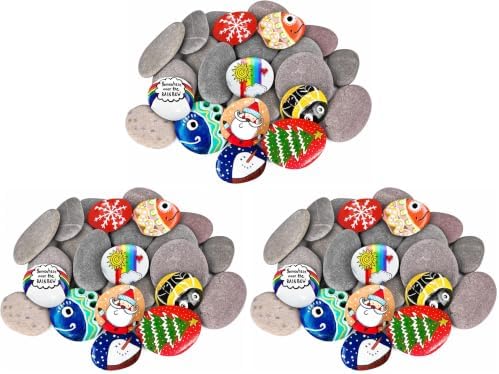 River Rocks for Painting 25 Pcs Large 2-3 Inch Flat Smooth Painting Stones Craft Rock to Paint for Kids Crafts Painting Bulk (Pack of 3)