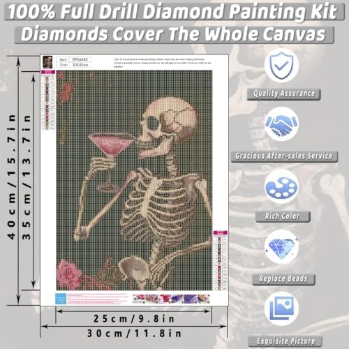 KICHANG Skull Diamond Art Kits for Adult Diamond Painting Kit for Beginner