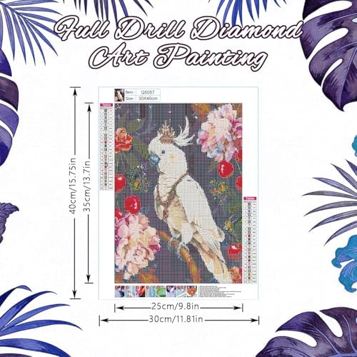 DOTSOPS 5D Parrot Diamond Painting Kits for Adults 11.8 x 15.7 Inches