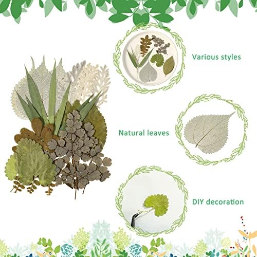 Timtin 84 Pcs Dried Pressed Leaves Flowers for Resin, Vivid