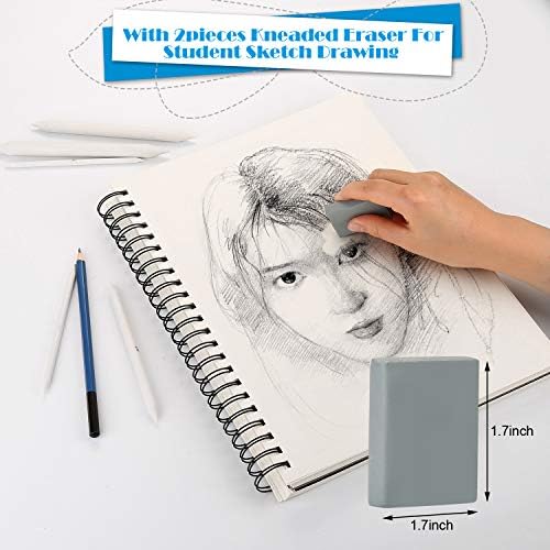 AGPTEK 22 PCS Sketch Drawing Tools, 16 Blending Stumps Set