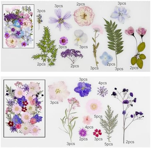 Cayway 170 PCS Real Nature Dried Pressed Flower Leaves, Pressed Flowers for Resin, Real Nature Pressing Floral Leaves for DIY Craft, Candle Scrapbooking Supplies, Purple